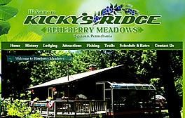 Kickys Ridge Blueberry Meadows